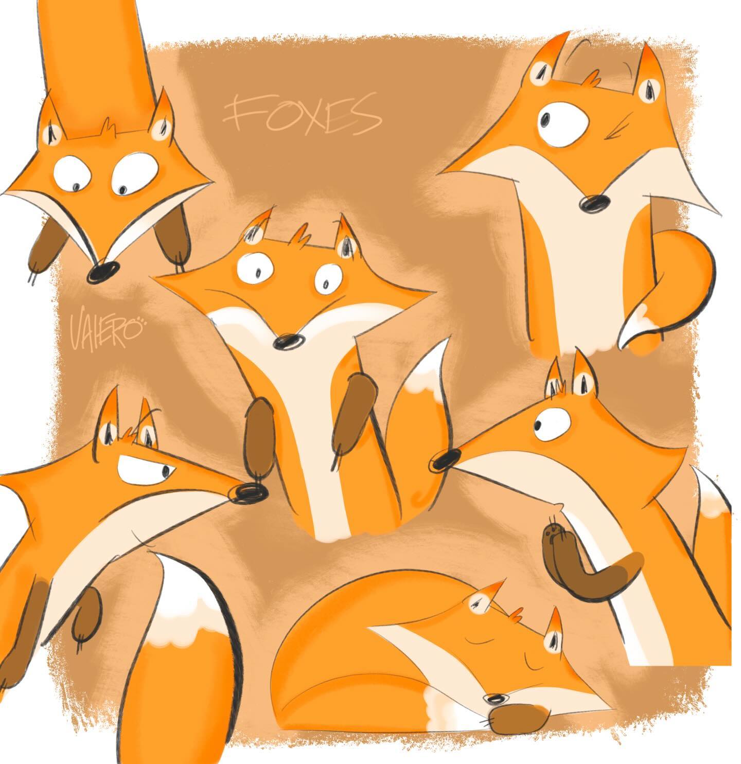 A Glimpse of Foxes