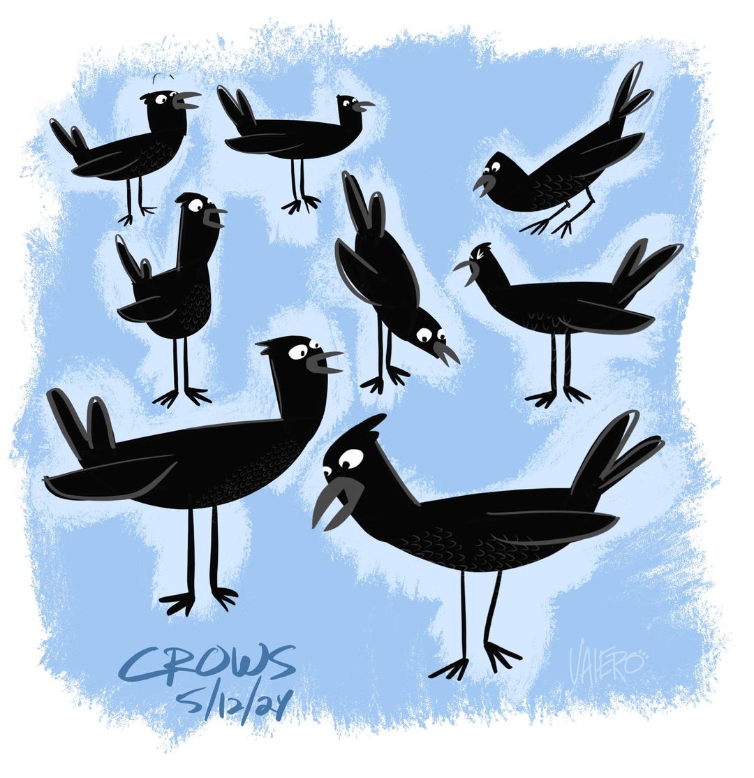 What do Crows Look Like?