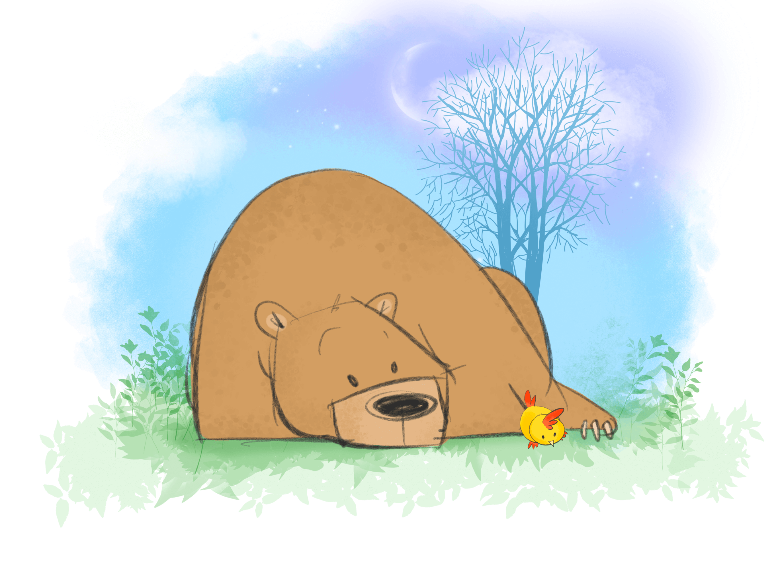 How to Draw a Bear